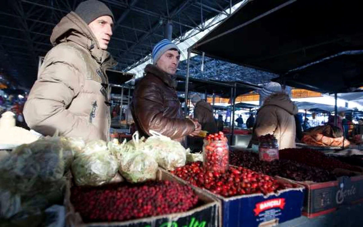 Produse din cules din pădurile Moldovei. FOTO: Alexandru Tarlev