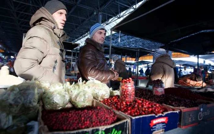 Produse din cules din pădurile Moldovei. FOTO: Alexandru Tarlev