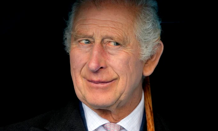 Regele Charles, Profimedia jpg