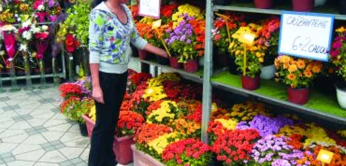 Iaşi: Regiunea pe scurt