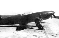 Yak-1