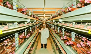 CLIIMA20100224 0139 1 jpeg