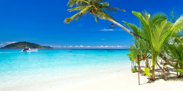 DAL Travel Christmas in July 1