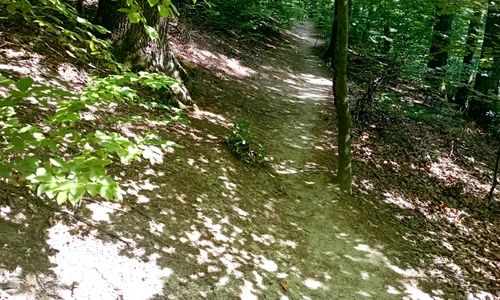 traseul meditatiei1 jpg