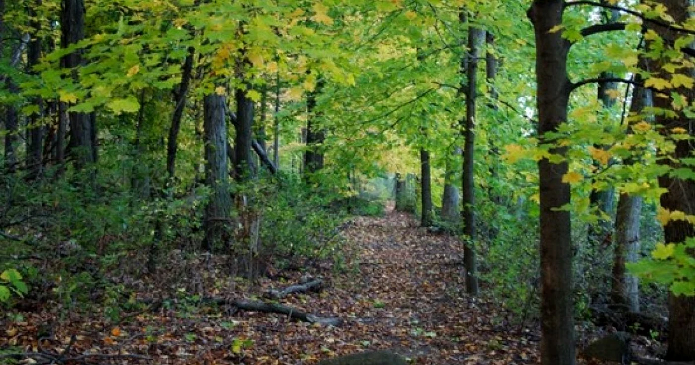 Arboretum Simeria.