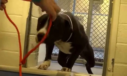 1 84457 original jpg jpeg