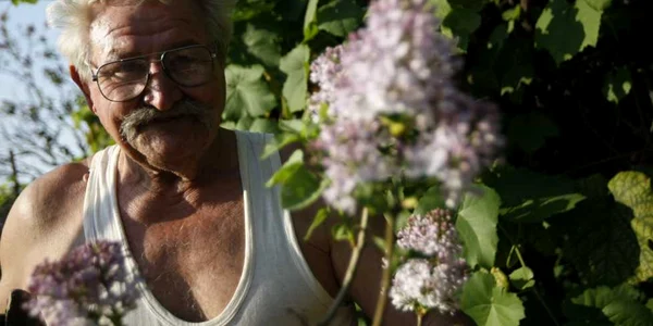 Liliecii au înflorit pe 31 august