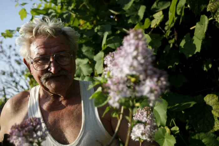 Liliecii au înflorit pe 31 august