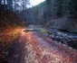 Drumul intre Runcu Mare și vadu Dobrii Foto Daniel Guță ADEVĂRUL (3) JPG