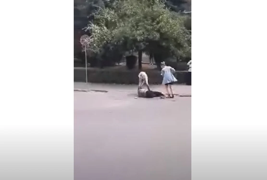 
    Cele două bătăuşe au lovit victima cu picioarele şi pumniiFoto: captură video Youtube  