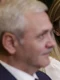irina tanase liviu dragnea jpeg