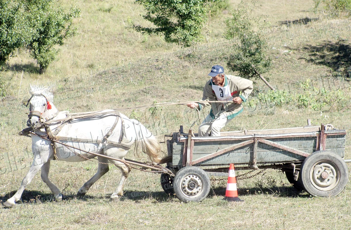 
    Cursă cu căruţa (foto: Ramona Găină)  