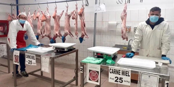 Carne de miel vandută în hale specializate FOTO