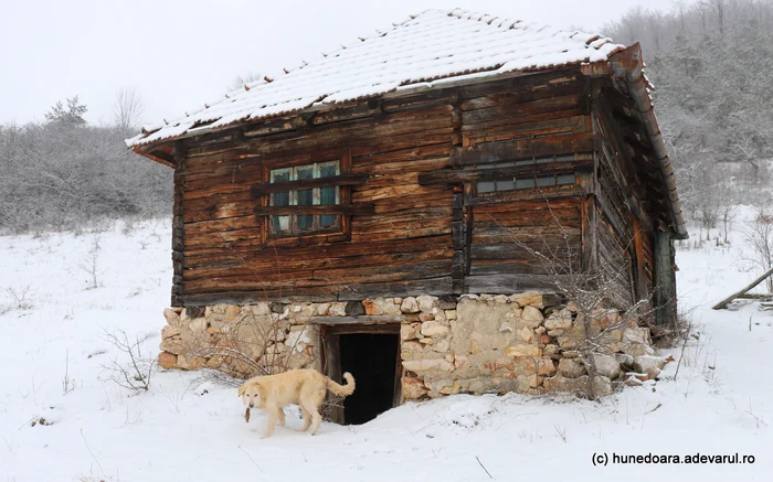 Casă pustie în Ponorici. Foto: Daniel Guță