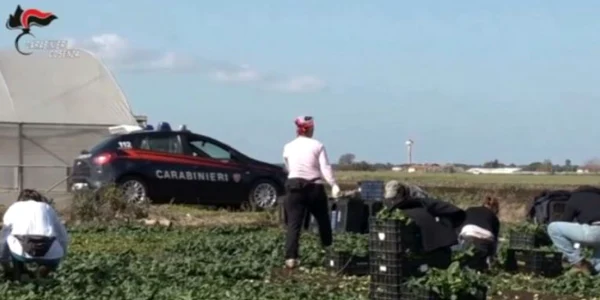 carabinieri sclavie prin munca FOTO stiridiaspora.ro