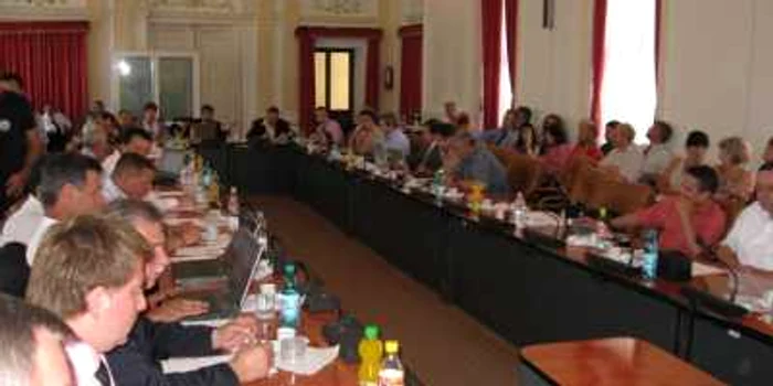 Consilierii Județeni vor energie verde