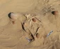 Descoperiri arheologice pe platoul Jabal al-Tayr din Egipt (© Facebook / Ministry of Tourism and Antiquities)