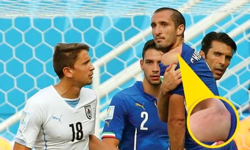 16 sport chellini jpeg