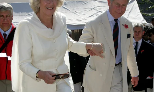 charles  camilla prof jpg