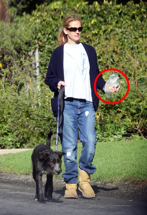 Exclusive Julia Roberts Takes On Her Dog Duty! 1/1 jpeg