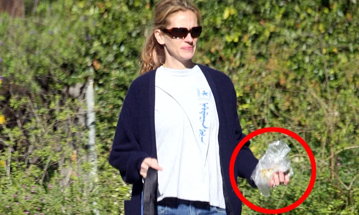 Exclusive Julia Roberts Takes On Her Dog Duty! 1/1 jpeg