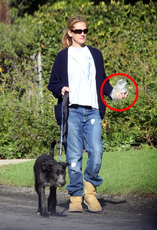 Exclusive   Julia Roberts Takes On Her Dog Duty! 1/1 jpeg