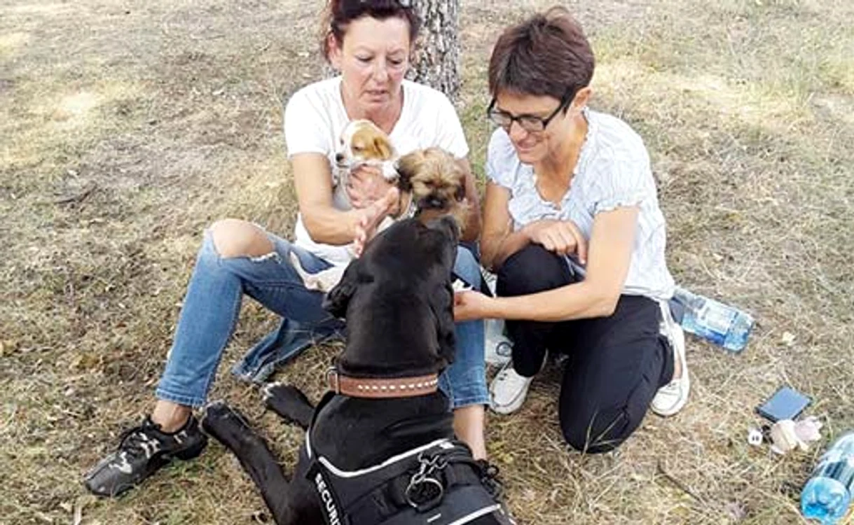 Claire-Louise Nixon iese zilnic cu căţeii la plimbare
