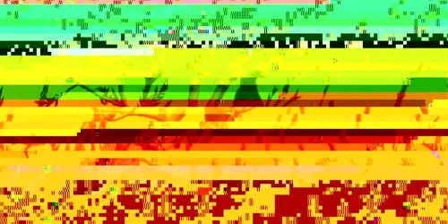 Peisaj de primăvară