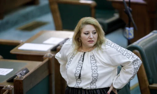 diana sosoaca la senat fara masca jpeg