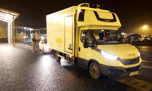 138418135 1042835052895704 495163577092571442 n jpeg