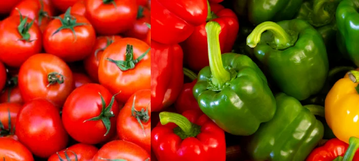 Cum vă puteți proteja ardeii și roșiile în fața caniculei