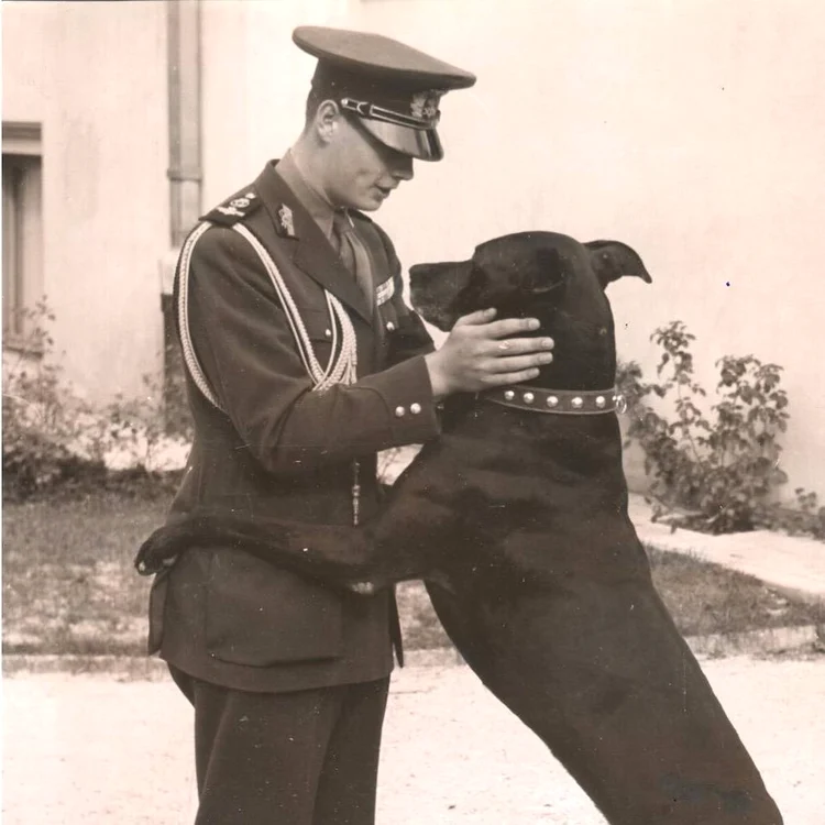 Regele Mihai I FOTO Adevărul