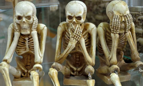skeletons 1617539 1280 (1) jpg