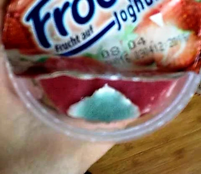 Chiar dacă era plin de mucegai, iaurtul era în termenul de valabilitate