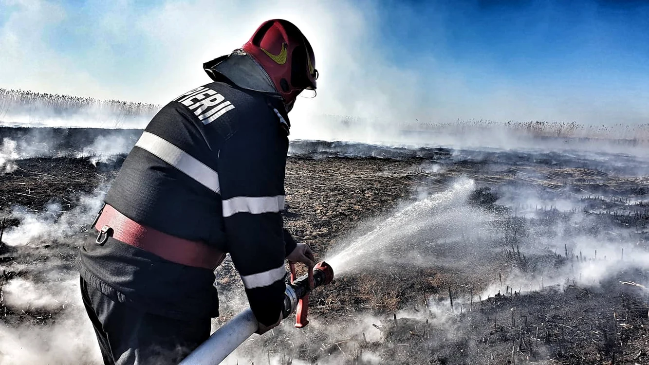 Mai multe echipaje de la pompieri acționează acum în zonă