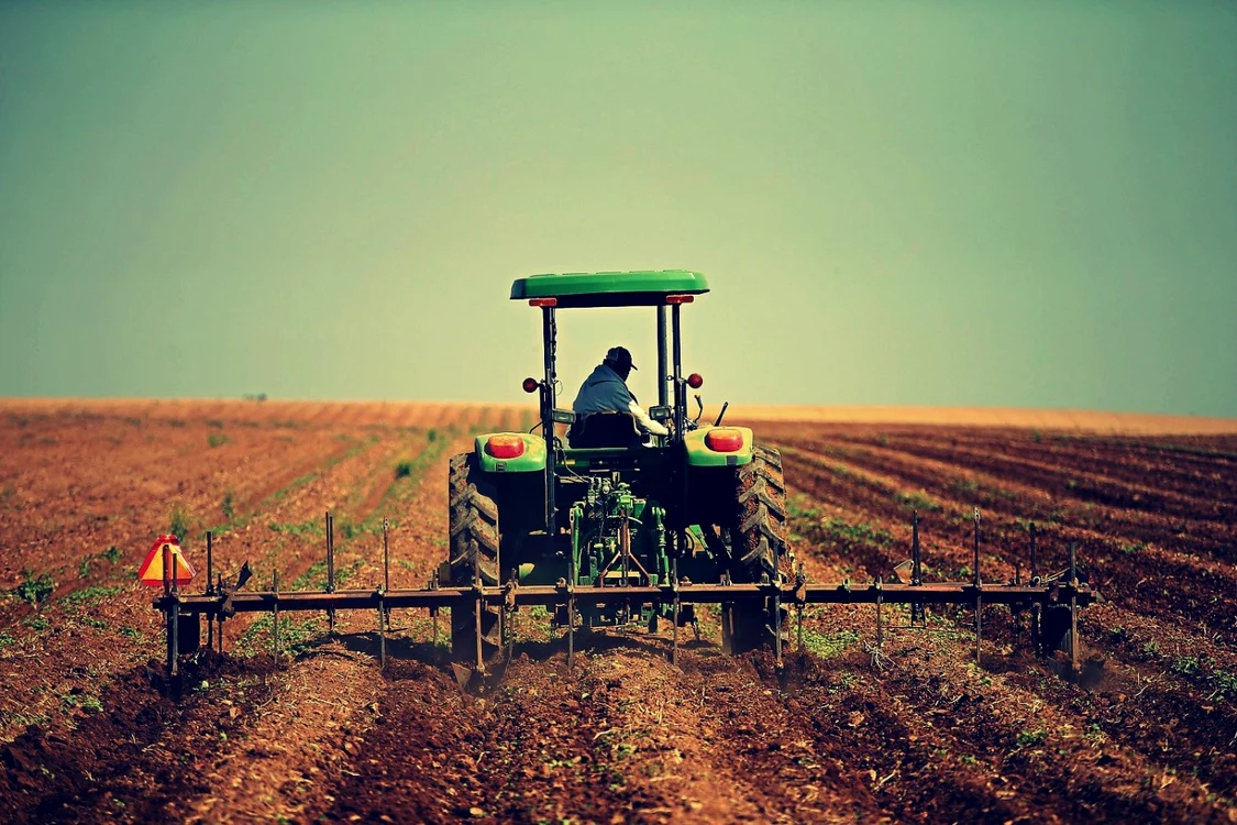 România este pe penultimul loc în UE la ponderea suprafeţei de teren alocat agriculturii organice FOTO Getty