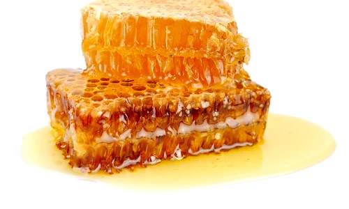 propolis jpeg