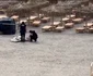 Alertă în Olimp: O posibilă dronă a fost găsită pe plajă. Obiectivul a fost detonat de geniști