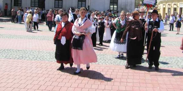 Parada germanilor Timişoara FOTO Ştefan Both