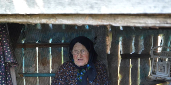 peofira baciu