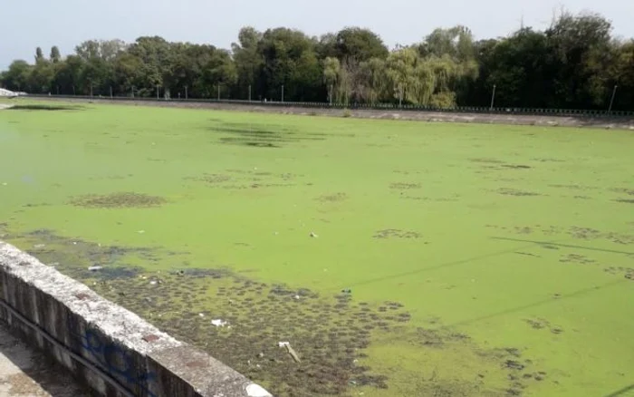 Apa lacului de acumulare de pe râul Jiu este acoperită de o peliculă verde