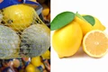 Cum să păstrezi lămâile timp de 3 luni sau chiar mai mult  Ce să faci ca să le împiedici să putrezea jpg