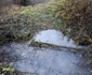Calea ferata Deva Brad Foto Daniel Guță ADEVĂRUL (4) JPG