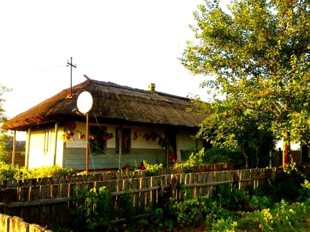 letea in unesco