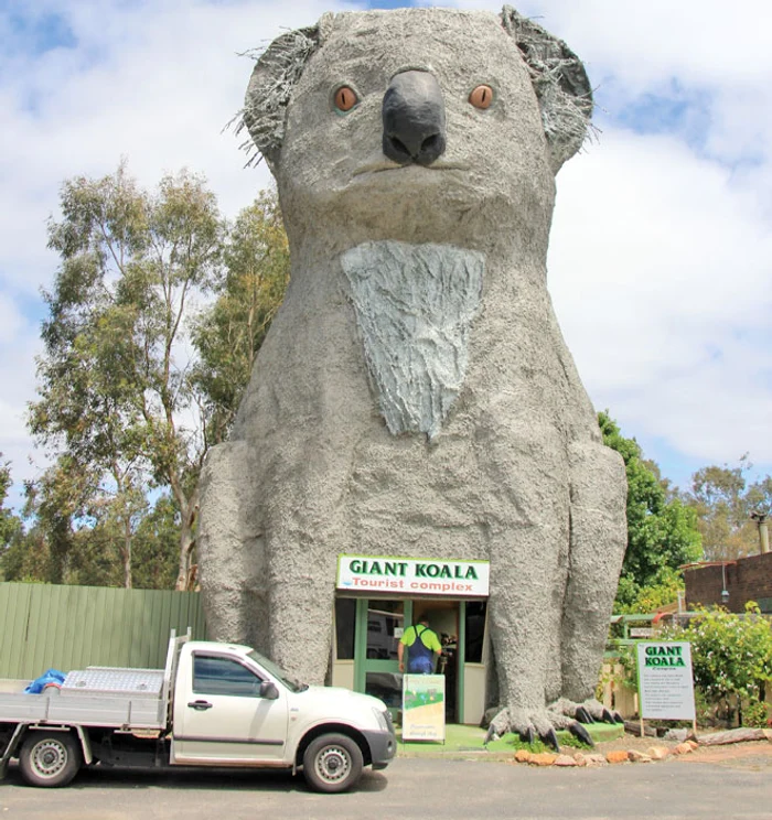 Clădirea urs koala este o atracţie turistică din Dadswell Bridge, Australia