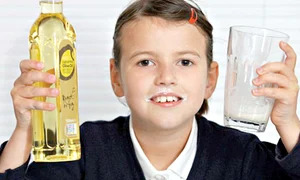 CLIIMA20120624 0035 1 jpeg