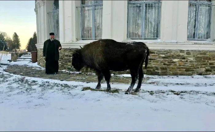 Întâlnire insolită FOTO Captură video Vasilică Harpa