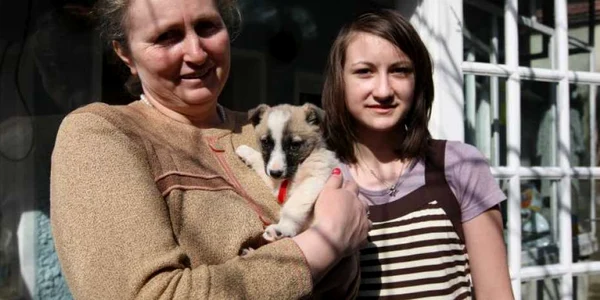 Braşov: Căţeluşa Lolita şi-a găsit un prieten