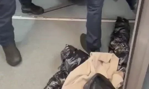 scandal wizz mp4 thumbnail png