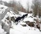 Tamas Dezso